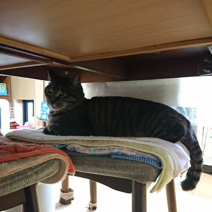 5d7f78b8 5c46 459a 8c8a 0b5cfd05ab1f 1649403595189