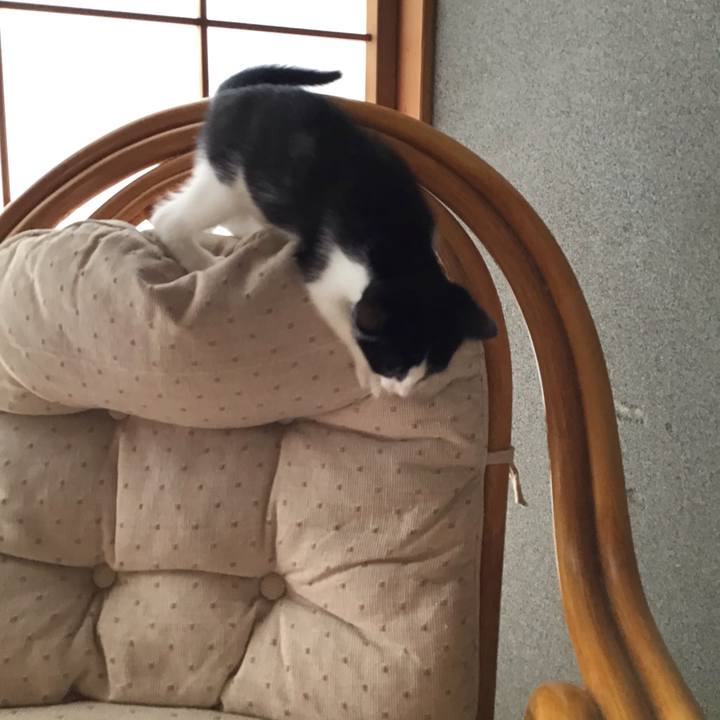 5d7f79c0 68ef 4568 9e8e 92cf41463100 1624599575896