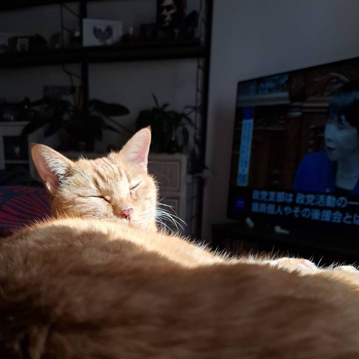 5d7f8120 88c2 49dc 94d0 c7e54ee33145 1762398422124