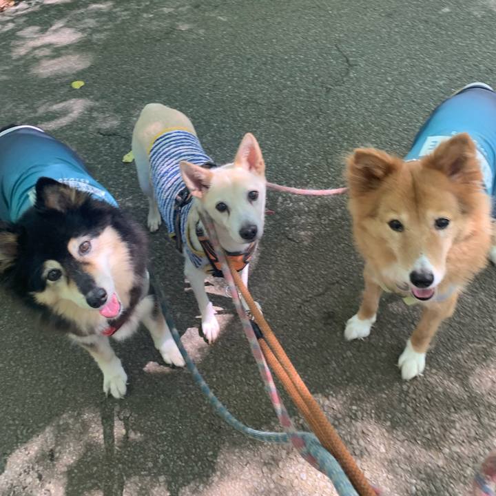 5d7f9ee6 62a3 43a3 92f9 b27d0c941cc4 1693129373166