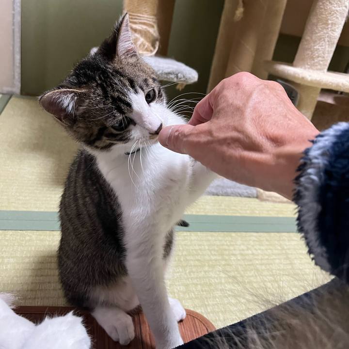 5d7fdcff 1105 42aa 9c4e c37200acbccc 1771192755365