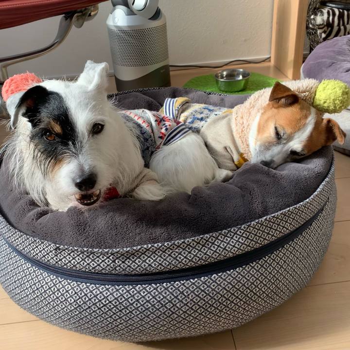 5d7fdee0 945d 49df a8fd 2d1d37f40b6c 1640748790877