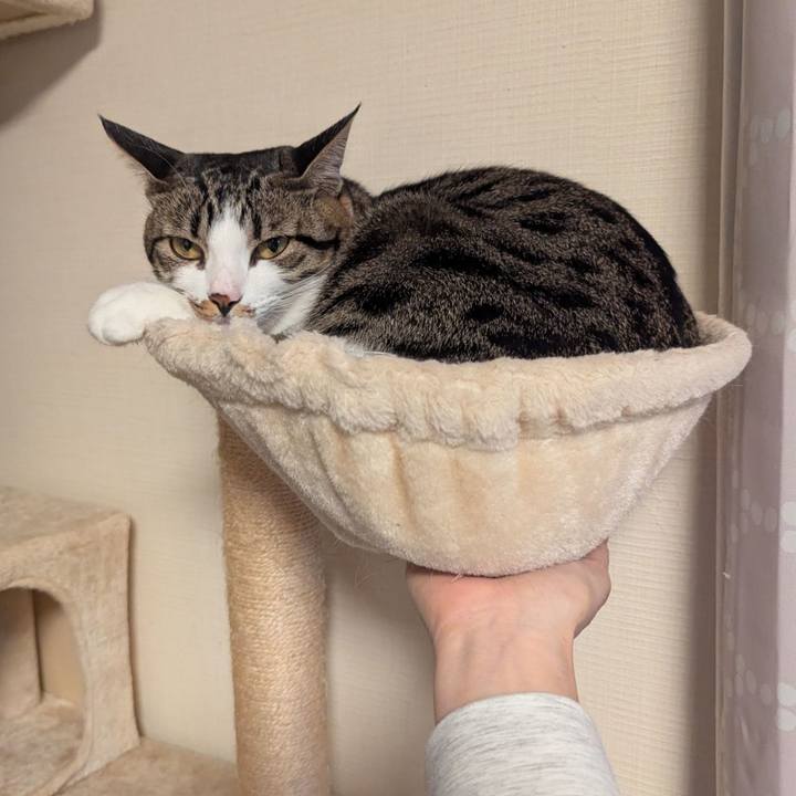 5d7fecdf 2fc6 44e3 9372 c6200dd5f63d 1765945509464