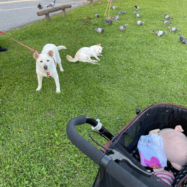 5d7ff2fc e1e2 452c 937c f1619b6d479e 1653665359371