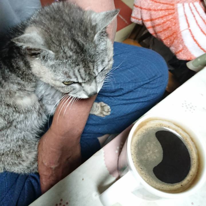 5d7ff731 4a1c 4aa5 bc8a e32fdc5bb8b7 1593630852662