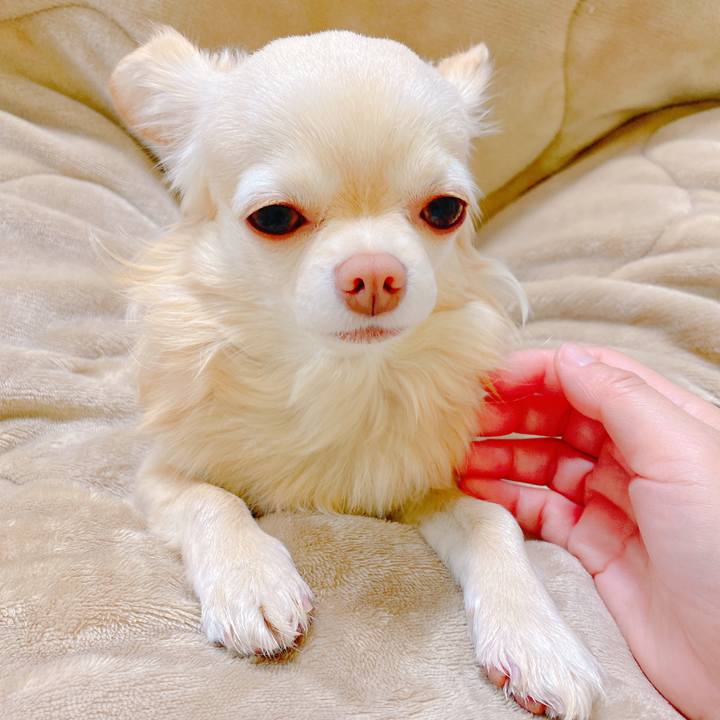 5d8053b3 8427 446b bf46 73d4fd2b69ba 1644892844076