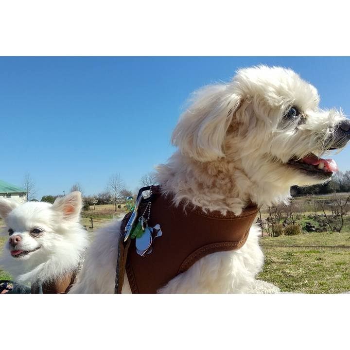 5d8053bf e939 4b66 96ed be530e6b3713 1679216103352