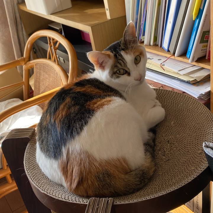 5d807a56 e286 478c 8f1e 6a5eedf830b2 1770340717875