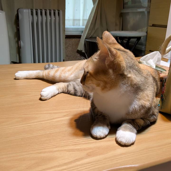 5d80bad9 3635 41d4 b822 228e859ead41 1764951016889