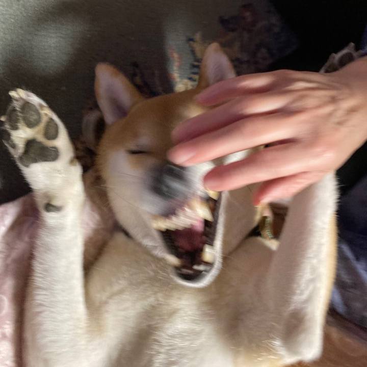 5d80bc1a eb12 4883 b767 0501ff1febbc 1636800938939