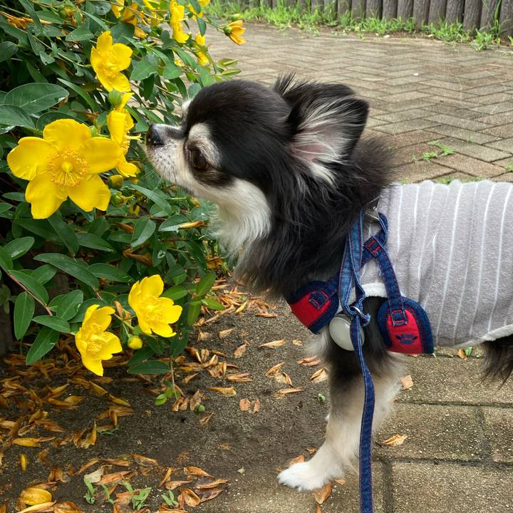 5d80bce1 8984 4859 ae1e 8d70b9c09f95 1717257489864