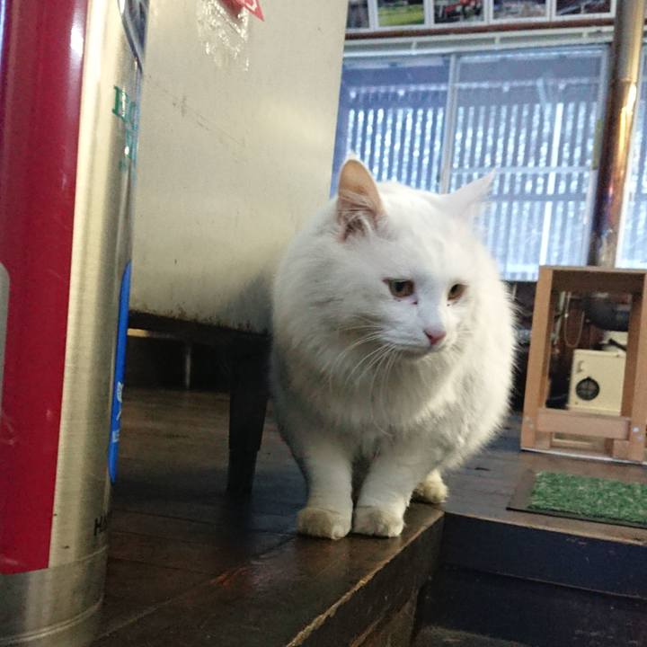 5d80c4f4 e479 439e 9284 d56d83eceaa6 1545950447163