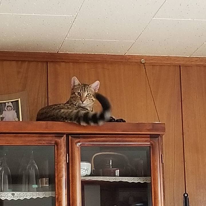 5d80e31a 53db 48dd ac26 1ca48ea1a7ea 1570160462222