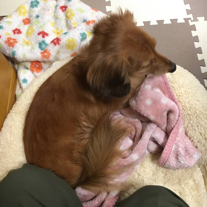 5d80e9aa f7c8 4292 b522 404e839db1c9 1543934918839