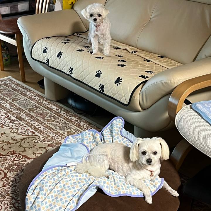 5d816c43 0e60 4f47 99bb 72682002c240 1719313455162