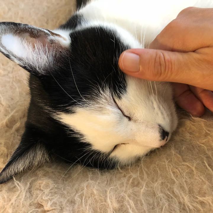 5d817e77 8a00 414e 9b06 fe756eb6a0dd 1547779869685