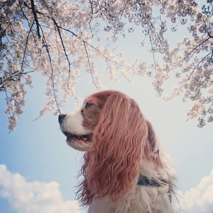 5d81a2e5 20c9 4efb 9614 535be6ed5632 1555906561584