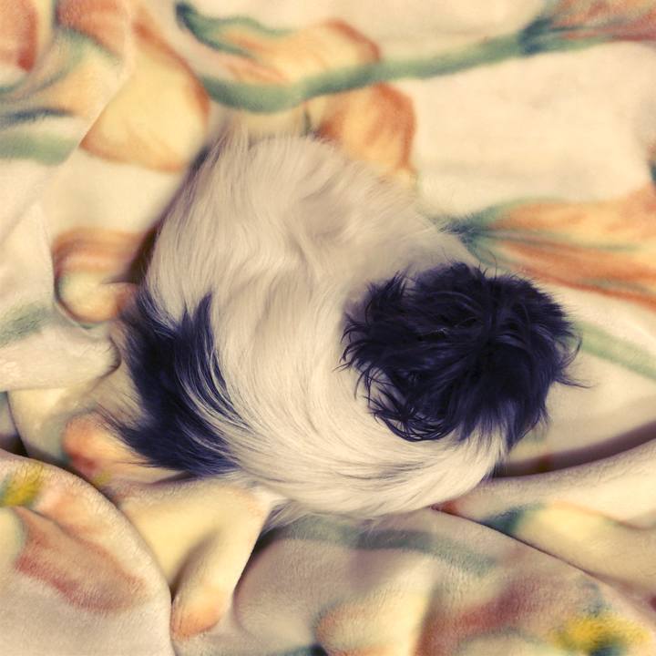 5d81abb6 184c 4598 b9e4 a4ada46546f7 1511186436273