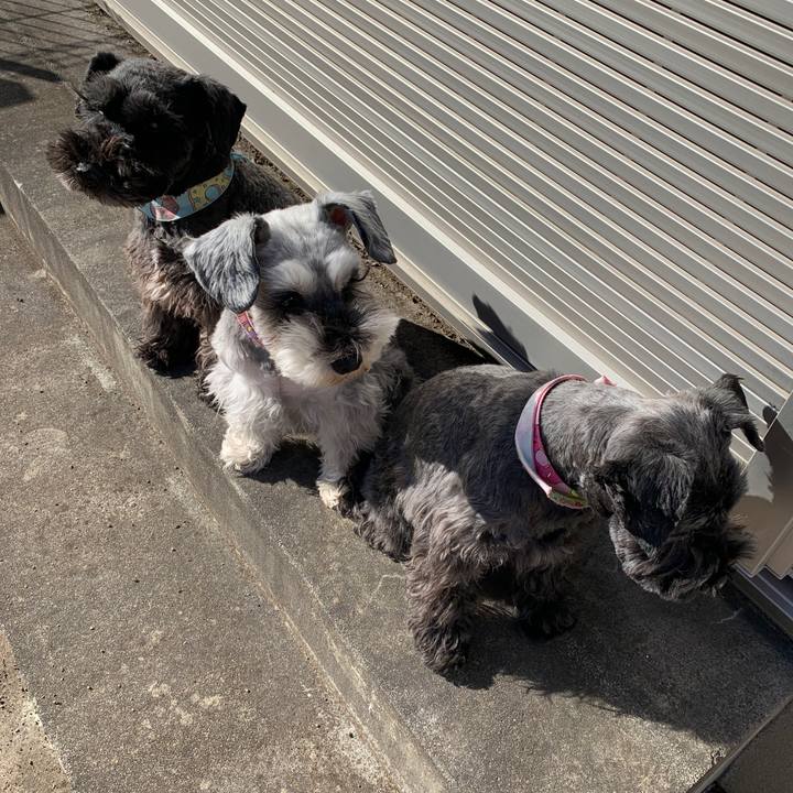 5d81c4a9 d76a 4f4c 9a9b 1291adf73388 1612847813659