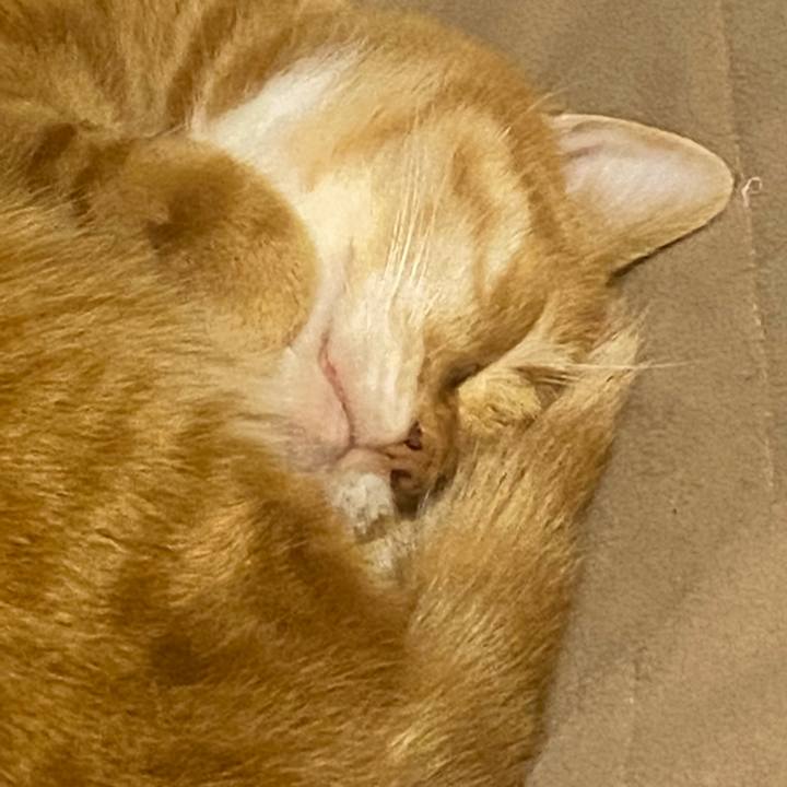 5d81df39 4807 49bd bb22 2f43374f9742 1611106282877