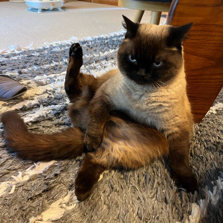 5d81f7a6 71bc 44d2 ba1e e0ab89ba51e3 1745840357351