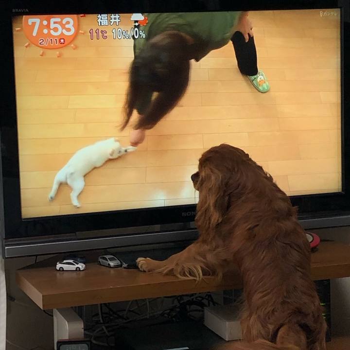 5d821415 eb9f 43a2 aab0 d48cfdb87d1b 1613006988164