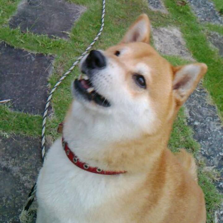 5d821710 154b 486f 9033 51e18e75b573 1507897339314