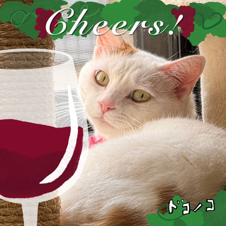 5d8237d8 b6db 457a bb64 aa163cf0a25d 1761690595775