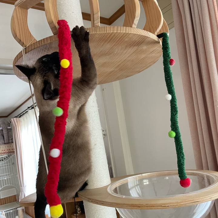 5d823ca4 50af 4ffb 9ba0 b36c0d47ea73 1763849320354