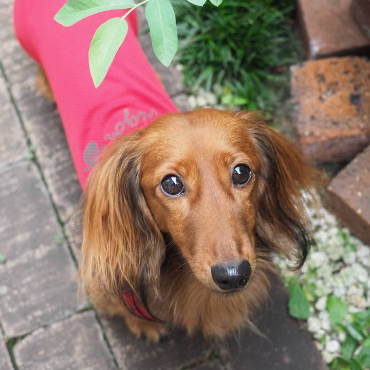 5d823ed3 7dc0 4802 8966 b105fa34b623 1758759585940