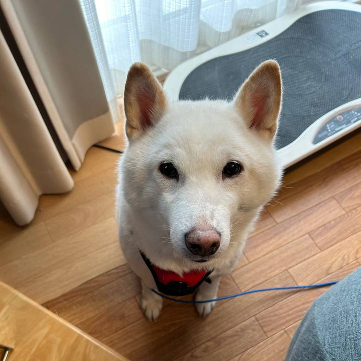 5d8240ac a296 4261 9110 184287d90fc0 1702686309835