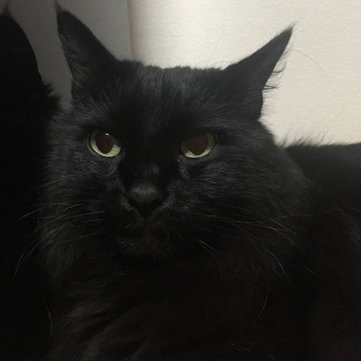 5d82654f 66ac 47d8 8d10 bcd62fa1dcc6 1558200693497