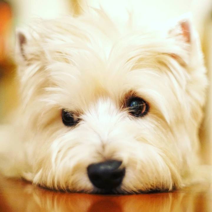 5d82b3b2 572b 4bae b432 293b240c624c 1528843298609