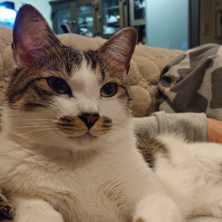 5d82b452 a5dd 45be bb0d 75d13d2ae4ae 1581849146814