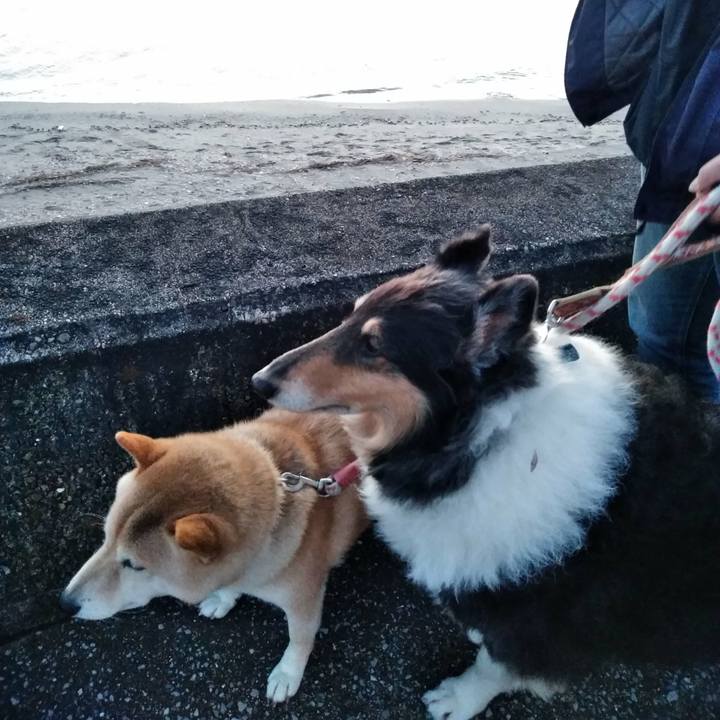 5d8312b5 a697 48da 9d28 ffd5be205048 1514900850788