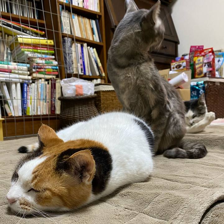 5d835a47 21a5 4cbf b57c 7e8fc00b9800 1606915671144