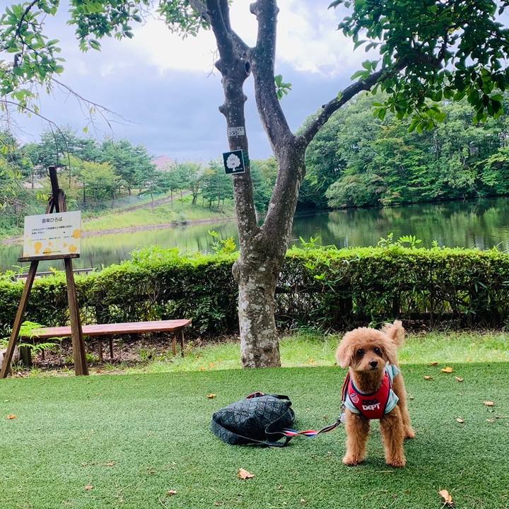 5d839cd8 cfed 4519 8899 799199bcafb9 1631616098887