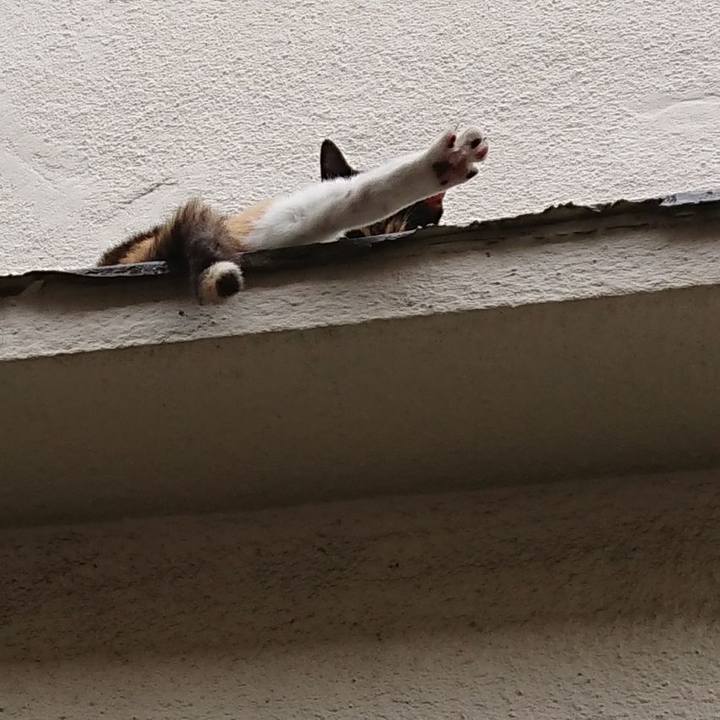 5d83a3f4 d89c 4876 a839 04c1cd2bd64d 1685765949793