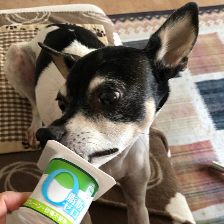 5d83cae9 0a23 4c36 8dc9 af43beab454b 1543495510881