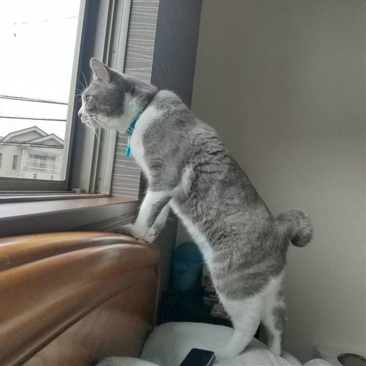 5d842d81 ed8b 473e 8933 d7adb0380f35 1630716888362