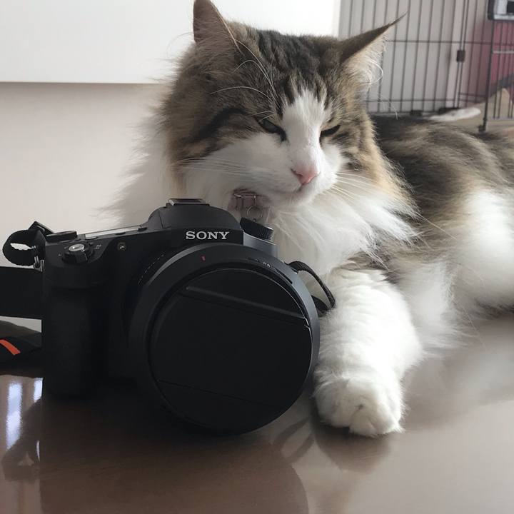 5d843878 a07b 4b6a 8c94 3e818b870b55 1558085424405