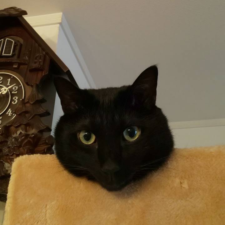 5d84597d 873e 49f2 a4e4 8ca5c96a0f26 1633993860735