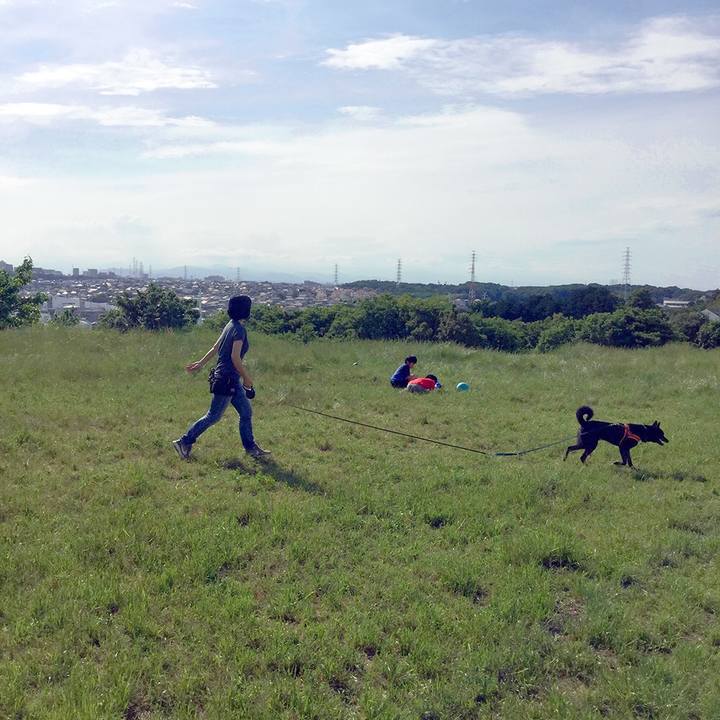 5d8462b7 1792 4870 989c e3f0abe9001e 1598309649173