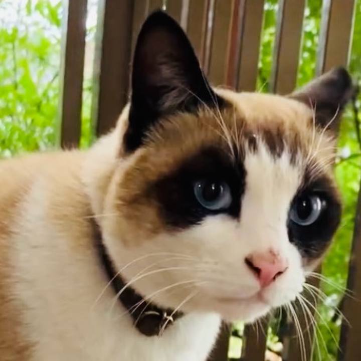 5d8469a3 db8b 4401 8e36 09dfb9dc629a 1737941208818