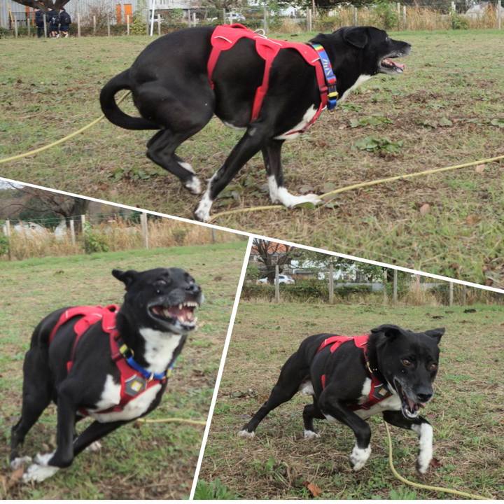 5d8475dd 7338 4ffd b914 d825a24d73b6 1668732824065