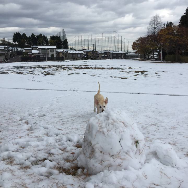 5d848cc6 27a3 4c1b b3f6 65ec69d85c74 1580617582344