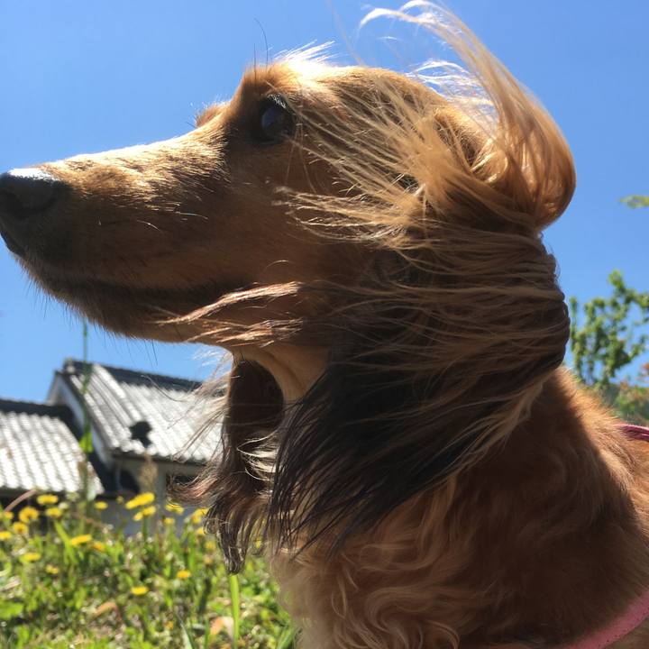 5d84bd71 d619 4e85 93f1 1b33da348149 1546213043043