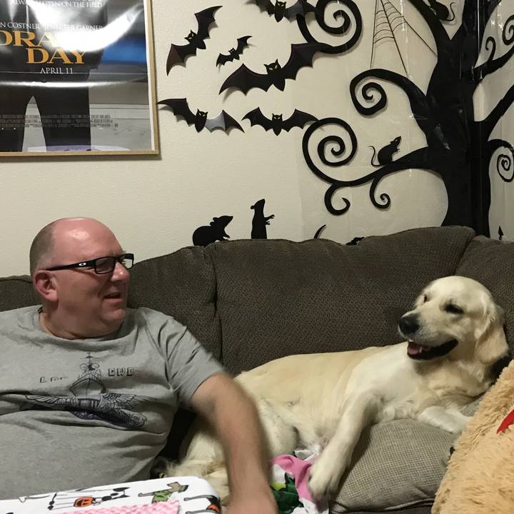 5d84d8c0 70a1 41db b857 f1473791d312 1509786691269