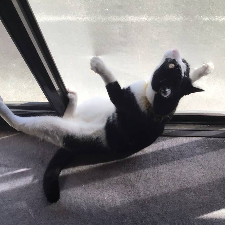 5d84db9d 296b 4147 90f2 defec59e5522 1649147378631