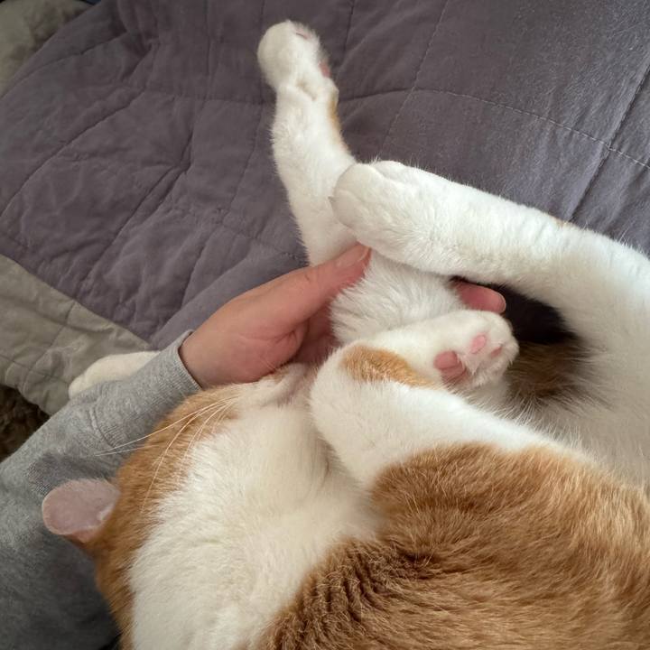 5d84dfc3 33da 44de b4c6 fb417c24e3f6 1767347673146